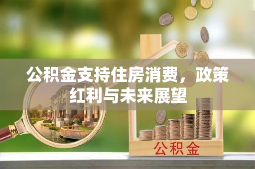 章丘公积金支持住房消费，政策红利与未来展望